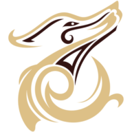 شركة وجا